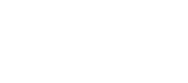 Spyder Forensics logo